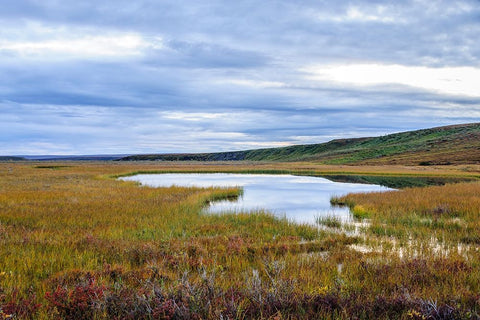 USA- Alaska- Noatak National Preserve. Wetlands in the arctic tundra. Black Modern Wood Framed Art Print by Norrsell, Fredrik
