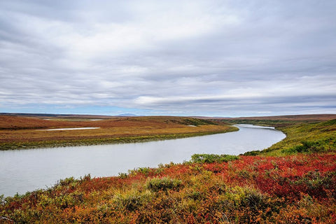 USA- Alaska- Noatak National Preserve. Autumn colors along the Noatak River. Black Ornate Wood Framed Art Print with Double Matting by Norrsell, Fredrik