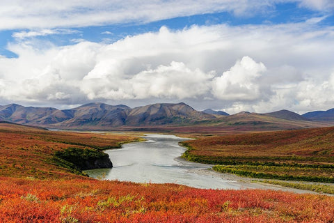 USA- Alaska- Noatak National Preserve. Arctic tundra in autumn colors along the Noatak River. Black Ornate Wood Framed Art Print with Double Matting by Norrsell, Fredrik