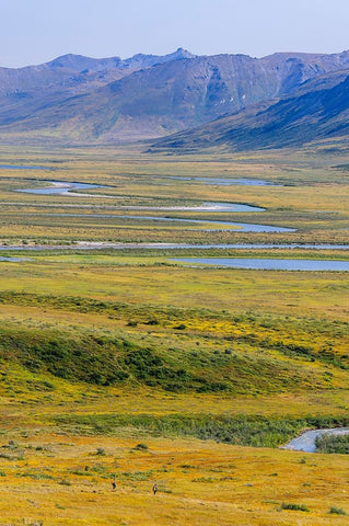 USA- Alaska- Gates of the Arctic National Park- Noatak River. Oxbow bends on the upper river. Black Ornate Wood Framed Art Print with Double Matting by Norrsell, Fredrik