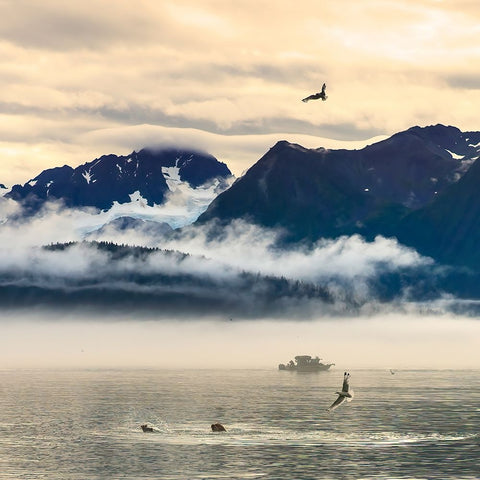 Fishing boat in Kenai Peninsula surrounded by mountains and wildlife Black Ornate Wood Framed Art Print with Double Matting by Muir, Janet