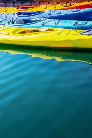 USA- Alaska- Homer. Colorful kayaks. Black Ornate Wood Framed Art Print with Double Matting by Muir, Janet