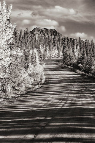 Alaska- Denali National Park. Road winding through Denali. Black Modern Wood Framed Art Print by Muir, Janet