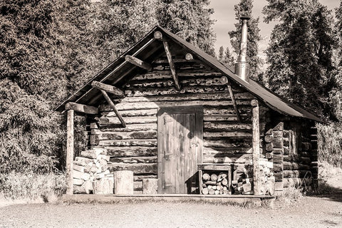Small- rustic log home in sepia. Black Modern Wood Framed Art Print by Muir, Janet