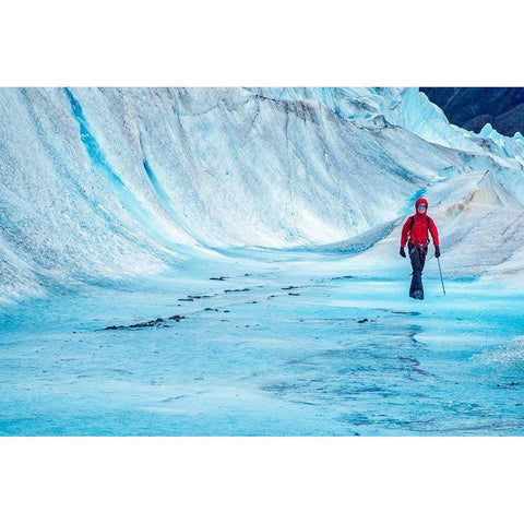 Trekking-Mendenhall Glacier-Juneau-Alaska Black Modern Wood Framed Art Print by Engelbrecht, Jim
