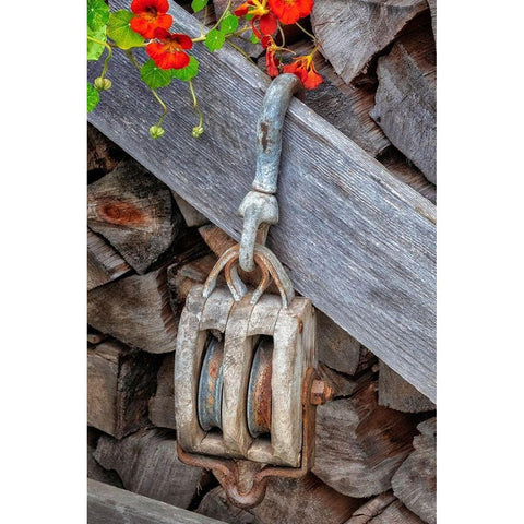 Antique block and tackle White Modern Wood Framed Art Print by Engelbrecht, Jim