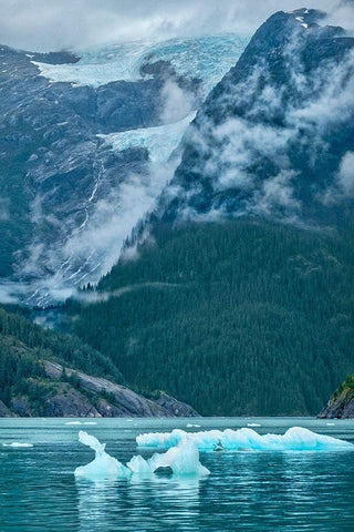 Glacial ice-iceberg-LeConte Bay-Petersburg-Alaska-USA White Modern Wood Framed Art Print with Double Matting by Engelbrecht, Jim