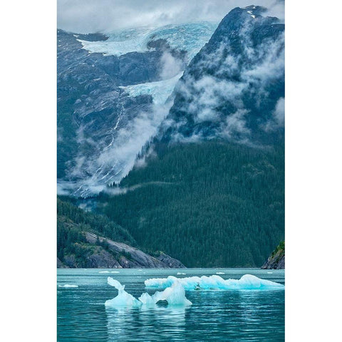 Glacial ice-iceberg-LeConte Bay-Petersburg-Alaska-USA Black Modern Wood Framed Art Print with Double Matting by Engelbrecht, Jim