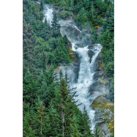 Thunder Falls-LeConte Bay-Petersburg-Alaska-USA White Modern Wood Framed Art Print by Engelbrecht, Jim