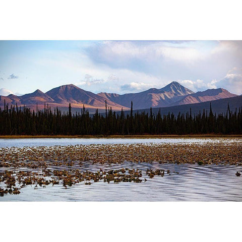 Wrangell Mountains-Alaska-USA Black Modern Wood Framed Art Print by Sienda, Jolly