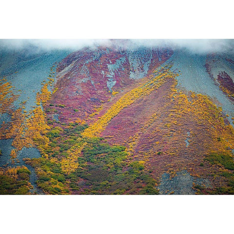 Alaska-autumn color Black Modern Wood Framed Art Print with Double Matting by Sienda, Jolly