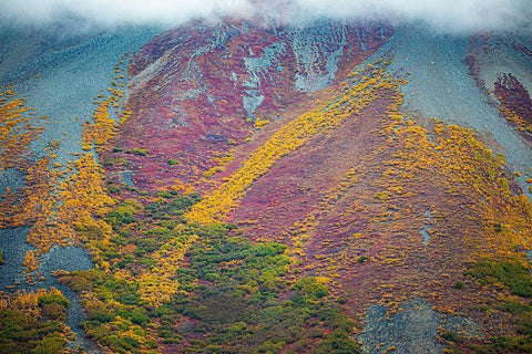 Alaska-autumn color White Modern Wood Framed Art Print with Double Matting by Sienda, Jolly