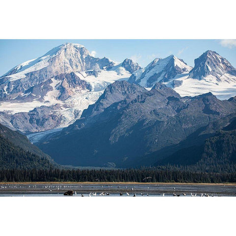 Cook Inlet-Lake Clark National Park and Preserve-Alaska Gold Ornate Wood Framed Art Print with Double Matting by Sienda, Jolly