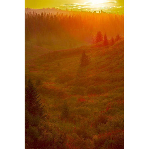 Homer-Alaska-scenic-sunset-golden-permafrost Gold Ornate Wood Framed Art Print with Double Matting by Sienda, Jolly
