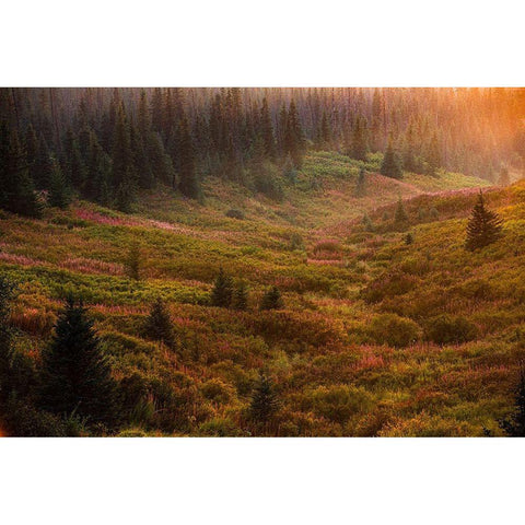 Homer-Alaska-autumn-valley-fireweed Black Modern Wood Framed Art Print by Sienda, Jolly