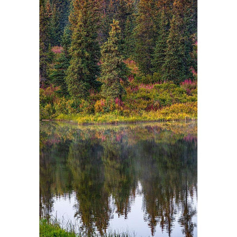 Homer-Alaska-autumn-fireweed Black Modern Wood Framed Art Print by Sienda, Jolly