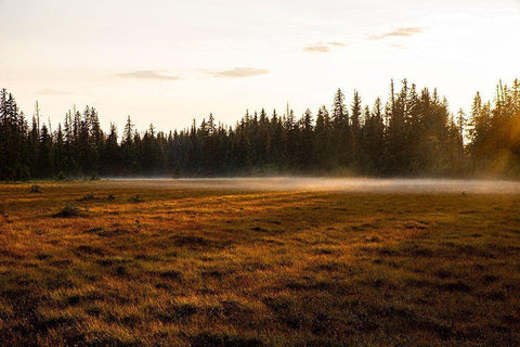 Homer-Alaska-Kenai Peninsula White Modern Wood Framed Art Print with Double Matting by Sienda, Jolly
