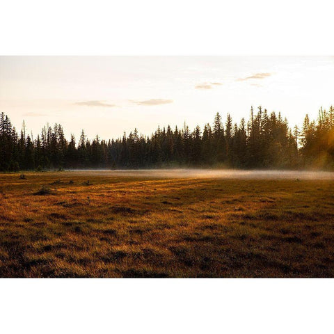 Homer-Alaska-Kenai Peninsula Black Modern Wood Framed Art Print by Sienda, Jolly