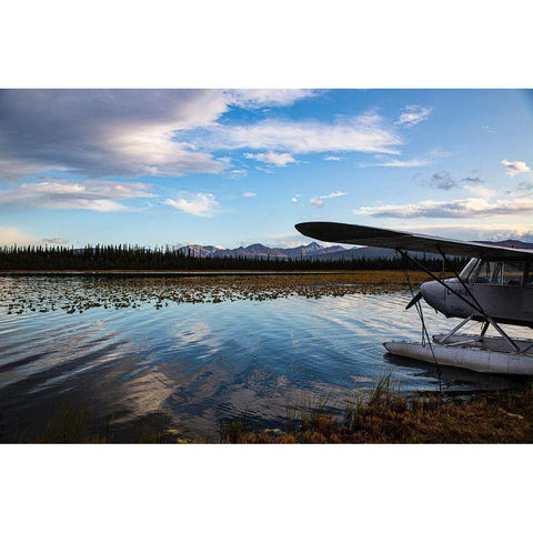 Alaska Floatplane Gold Ornate Wood Framed Art Print with Double Matting by Sienda, Jolly