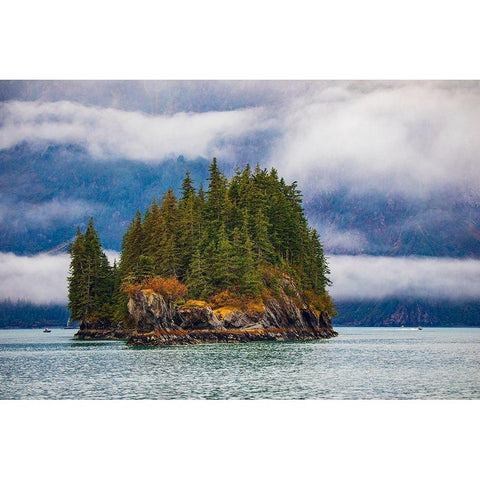 Prince William Sound-Alaska-Valdez-Island-evergreen trees-autumn-fog Black Modern Wood Framed Art Print by Sienda, Jolly