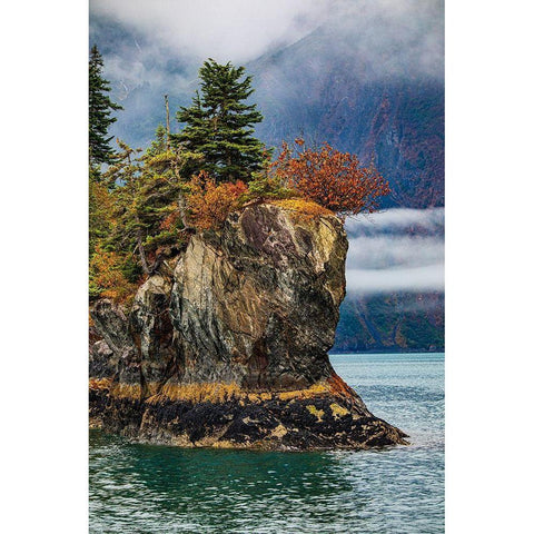 Prince William Sound-Alaska-Valdez-island-autumn-color-evergreen-fog White Modern Wood Framed Art Print by Sienda, Jolly