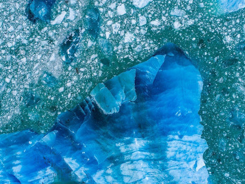Alaska shattered icebergs floating near calving face of LeConte Glacier east of Petersburg Black Ornate Wood Framed Art Print with Double Matting by Souders, Paul