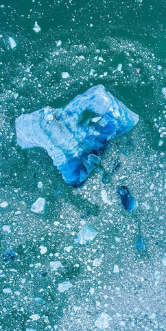 Alaska shattered icebergs floating near calving face of LeConte Glacier east of Petersburg Black Ornate Wood Framed Art Print with Double Matting by Souders, Paul