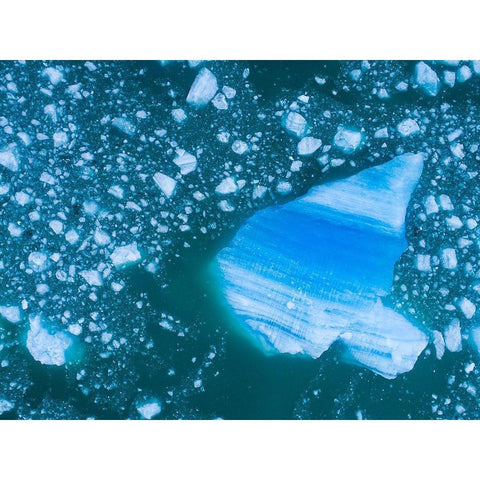 Alaska shattered icebergs floating near calving face of LeConte Glacier east of Petersburg Black Modern Wood Framed Art Print by Souders, Paul