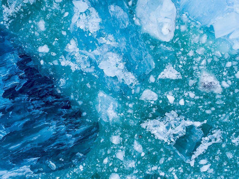 Alaska shattered icebergs floating near calving face of LeConte Glacier east of Petersburg Black Ornate Wood Framed Art Print with Double Matting by Souders, Paul