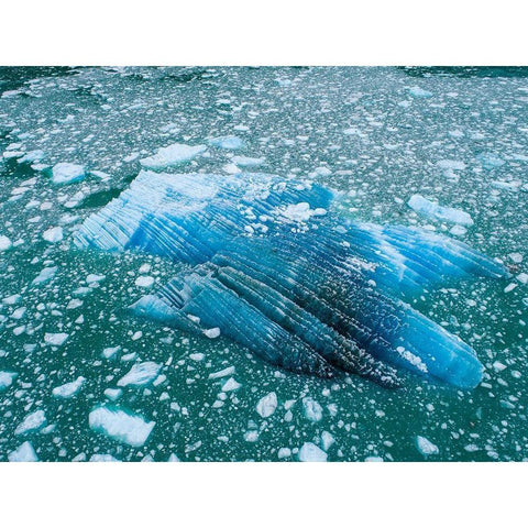 Alaska shattered icebergs floating near calving face of LeConte Glacier east of Petersburg White Modern Wood Framed Art Print by Souders, Paul