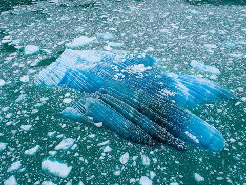 Alaska shattered icebergs floating near calving face of LeConte Glacier east of Petersburg White Modern Wood Framed Art Print with Double Matting by Souders, Paul