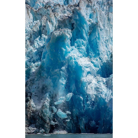 Alaska-Tracy Arm-Fords Terror Wilderness-Icebergs calving from blue ice face of South Sawyer Glacier Black Modern Wood Framed Art Print with Double Matting by Souders, Paul