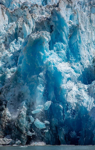 Alaska-Tracy Arm-Fords Terror Wilderness-Icebergs calving from blue ice face of South Sawyer Glacier White Modern Wood Framed Art Print with Double Matting by Souders, Paul