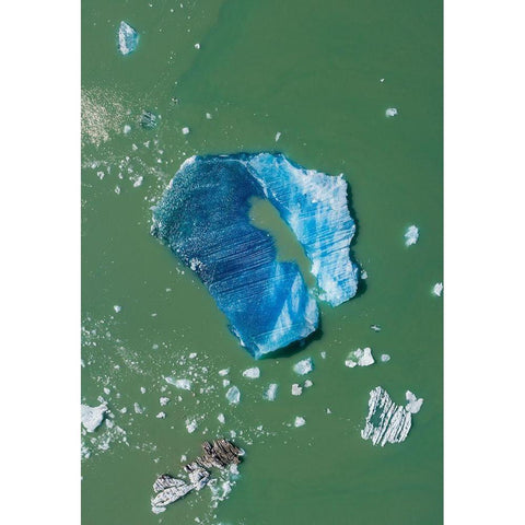 Alaska-Tracy Arm-Aerial view of floating iceberg calved from South Sawyer Glacier in Tracy Arm Gold Ornate Wood Framed Art Print with Double Matting by Souders, Paul
