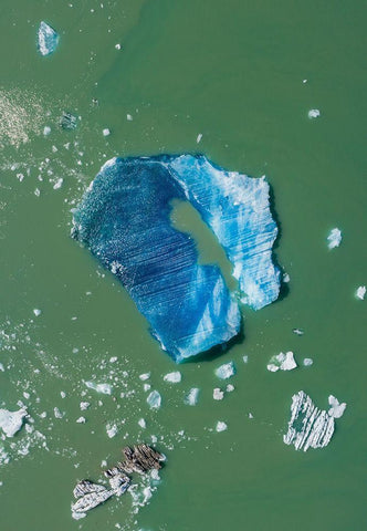 Alaska-Tracy Arm-Aerial view of floating iceberg calved from South Sawyer Glacier in Tracy Arm Black Ornate Wood Framed Art Print with Double Matting by Souders, Paul