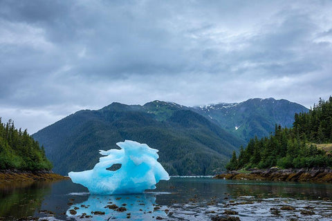Alaska-Petersburg-Large iceberg from LeConte Glacier grounded at low tide in LeConte Bay Black Ornate Wood Framed Art Print with Double Matting by Souders, Paul