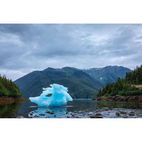 Alaska-Petersburg-Large iceberg from LeConte Glacier grounded at low tide in LeConte Bay Black Modern Wood Framed Art Print with Double Matting by Souders, Paul