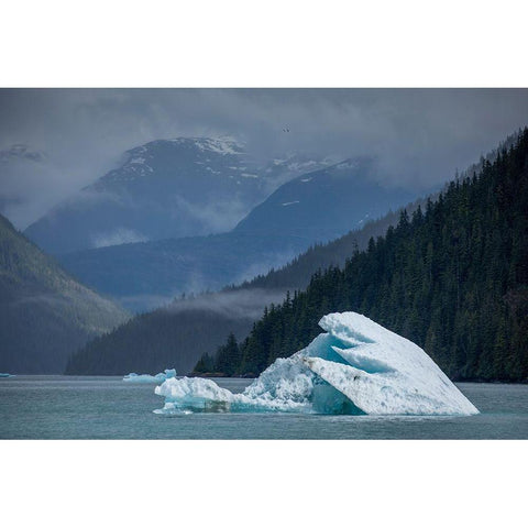 Alaska-Tracy Arm-Fords Terror Wilderness-Glacial iceberg floating in Holkham Bay Black Modern Wood Framed Art Print by Souders, Paul