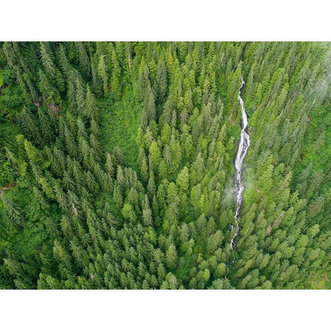 Alaska-Juneau-Taku Harbor State Marine Park-waterfall on mountainside in coastal rainforest Black Modern Wood Framed Art Print by Souders, Paul