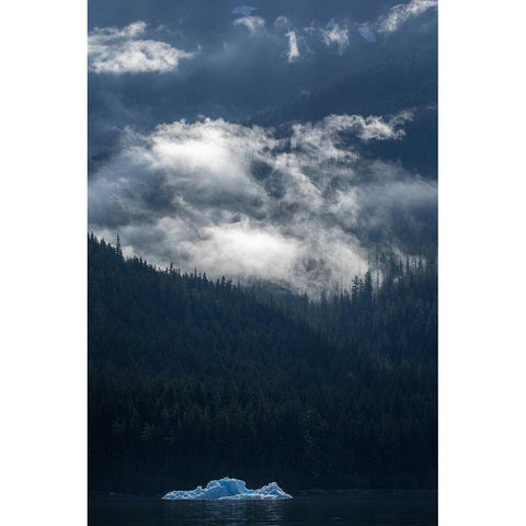 Alaska-Tracy Arm-Fords Terror Wilderness-Morning sun lights clearing mist above iceberg floating Black Modern Wood Framed Art Print by Souders, Paul