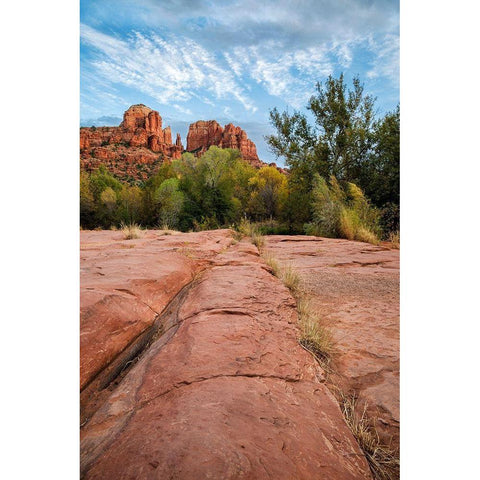 Arizona-Sedona-Red Rock State Park-Cathedral Rock White Modern Wood Framed Art Print by Collins, Ann