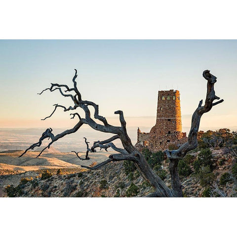 Arizona-Grand Canyon National Park-Sunrise at the Desert View Watchtower Black Modern Wood Framed Art Print by Collins, Ann
