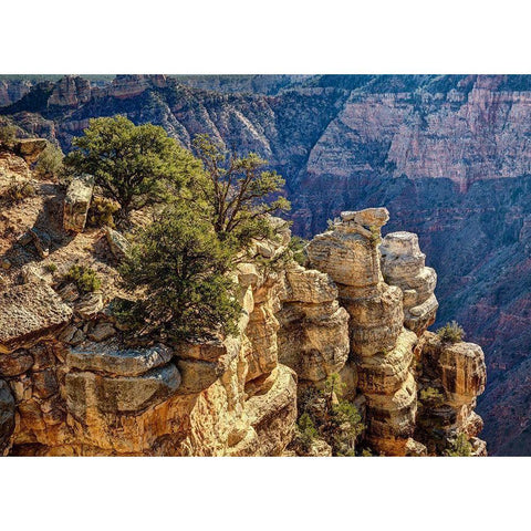 Arizona-Grand Canyon National Park-Rocks and trees at Grandview Point White Modern Wood Framed Art Print by Collins, Ann