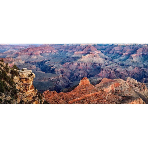 Arizona-Grand Canyon National Park-Panoramic view of dawn from Yaki Point Black Modern Wood Framed Art Print by Collins, Ann