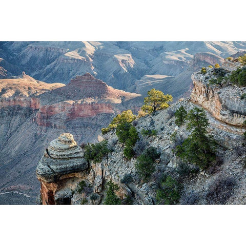 Arizona-Grand Canyon National Park-View from Yaki Point at sunrise White Modern Wood Framed Art Print by Collins, Ann