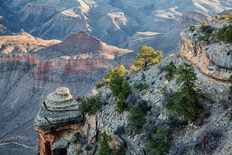 Arizona-Grand Canyon National Park-View from Yaki Point at sunrise White Modern Wood Framed Art Print with Double Matting by Collins, Ann