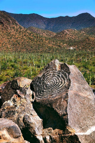 Signal Hill Petroglyphs-Arizona-USA White Modern Wood Framed Art Print with Double Matting by Miller, Anna