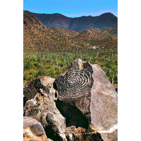 Signal Hill Petroglyphs-Arizona-USA Black Modern Wood Framed Art Print by Miller, Anna