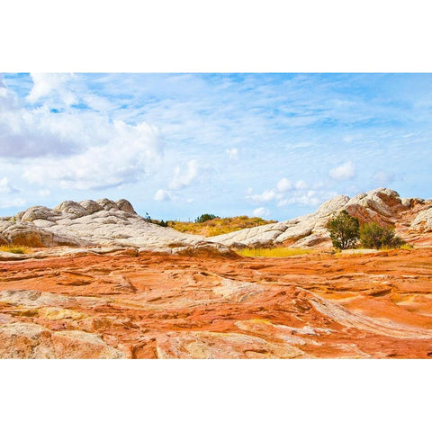 USA-Arizona-Vermilion Cliffs National Monument White Pocket Black Modern Wood Framed Art Print by Friel, Bernard