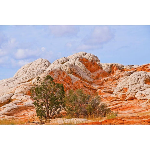 USA-Arizona-Vermilion Cliffs National Monument White Pocket White Modern Wood Framed Art Print by Friel, Bernard